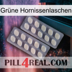 Grüne Hornissenlaschen 07